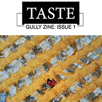 Digital Collaborative Grant: Gully Collective first zine released.